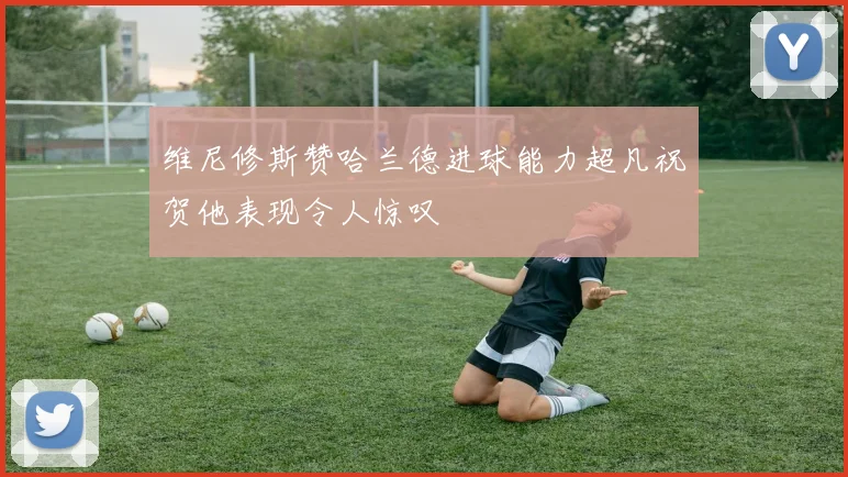 维尼修斯赞哈兰德进球能力超凡祝贺他表现令人惊叹