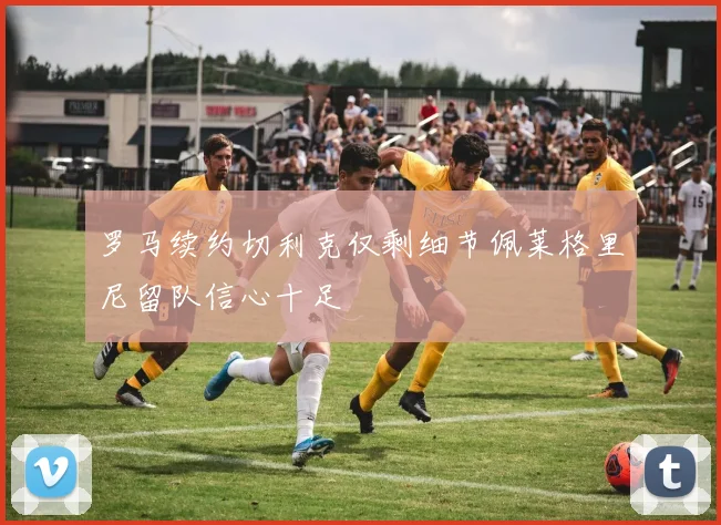 罗马续约切利克仅剩细节佩莱格里尼留队信心十足